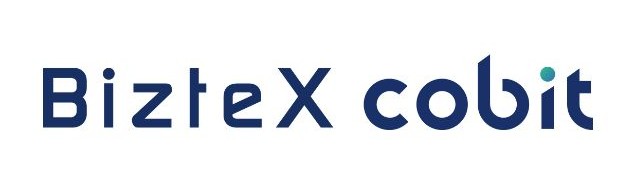 BizteX cobit